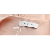 Ivy & Oak Jurk Viscose in Roze