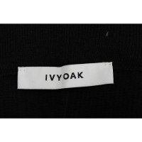 Ivy & Oak Skirt in Black