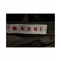 Marni Gonna in Lana in Marrone