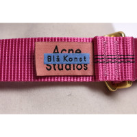 Acne Belt in Pink