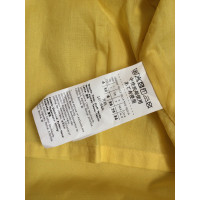 Max Mara TRENCH in Cotton in Yellow