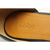 Chloé Sandalen aus Leder in Schwarz