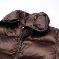 Parajumpers Jacket/Coat in Brown
