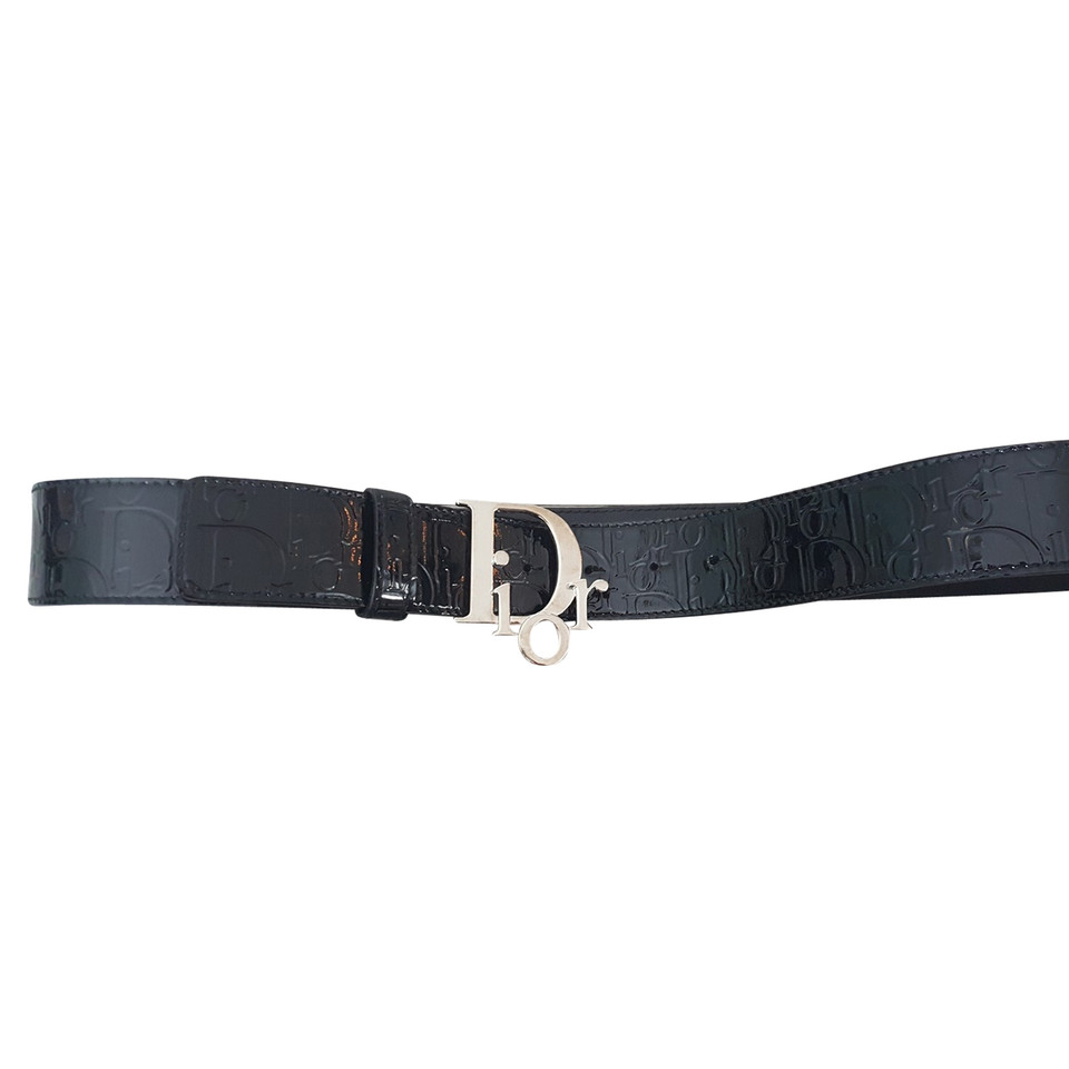Christian Dior Paint belt