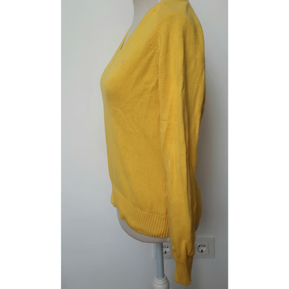 Burberry Giacca/Cappotto in Cotone in Giallo