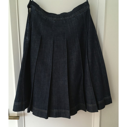 Max Mara Skirt Cotton in Blue