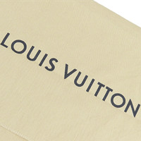 Louis Vuitton Saintonge Canvas in Brown