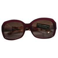 Dolce & Gabbana Sunglasses in Bordeaux