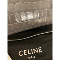 Céline Belt Bag Nano 20 cm in Pelle in Grigio