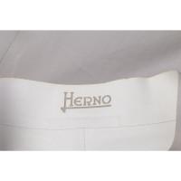 Herno Jacket/Coat Cotton in Grey