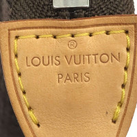 Louis Vuitton Antigua in Tela in Marrone