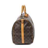 Louis Vuitton Reistas Canvas in Bruin