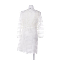 Pinko Kleid aus Baumwolle in Weiß