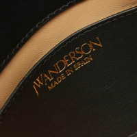 Jw Anderson Handbag Leather in Black