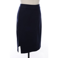 Wolford Skirt in Blue