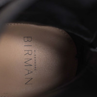 Alexandre Birman Ankle boots Suede in Black