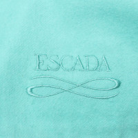 Escada Sjaal in het groen