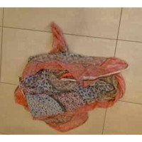 Faliero Sarti Echarpe/Foulard