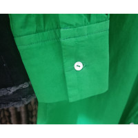 Velvet Top Cotton in Green