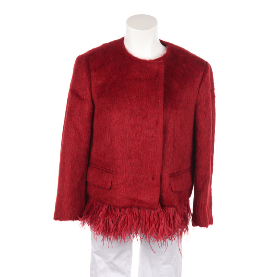 Dondup Jacket/Coat Wool in Red