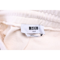 Msgm Anzug aus Baumwolle