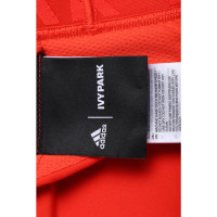 Adidas Anzug in Rot