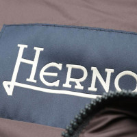 Herno Jacket/Coat in Brown