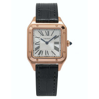 Cartier Santos Dumont Leather