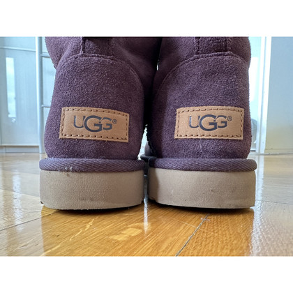 Ugg Australia Ankle boots Leather