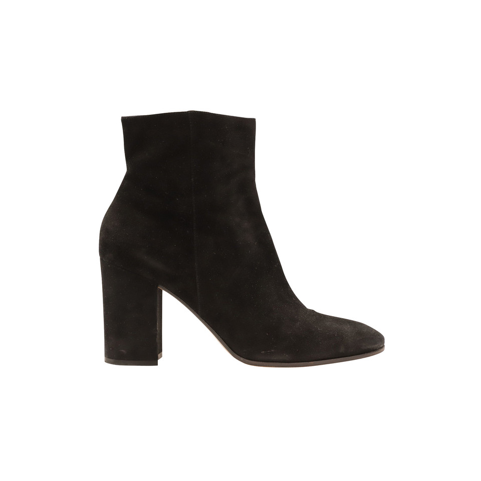 Gianvito Rossi Ankle boots Suede in Black