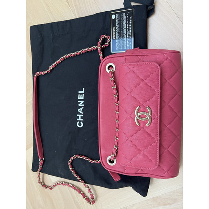Chanel Camera Bag Leer in Roze