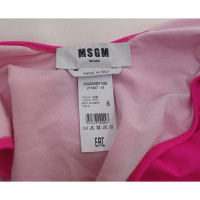 Msgm Beachwear in Pink