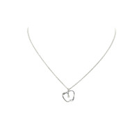 Tiffany & Co. Necklace Silver in Silvery