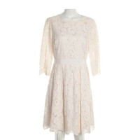 Ted Baker Dress Cotton in White