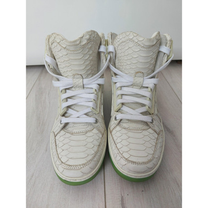 Dsquared2 Sneaker in Pelle in Beige