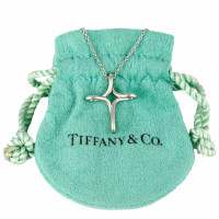 Tiffany & Co. Collana in Platino in Argenteo