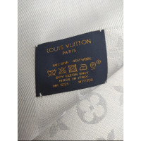 Louis Vuitton Scarf/Shawl in Grey