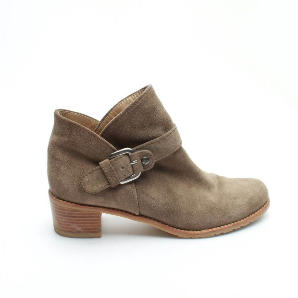 Stuart Weitzman Ankle boots Leather in Brown