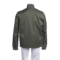 Drykorn Jacket/Coat Cotton in Green
