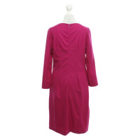 Strenesse Kleid in Fuchsia