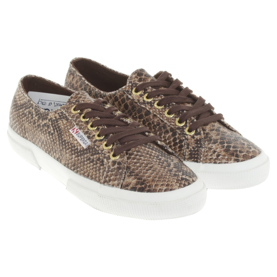 Superga Lace in Brown