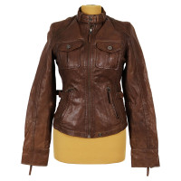 Oakwood Veste/Manteau en Cuir en Marron