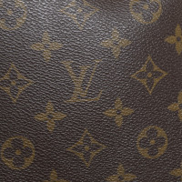 Louis Vuitton Borsa a tracolla da Monogram Canvas