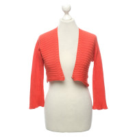 Stefanel Knitwear Cotton in Orange