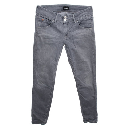 Hudson Jeans Cotton in Grey