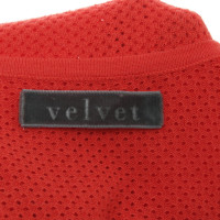 Velvet Top avec motif en dentelle