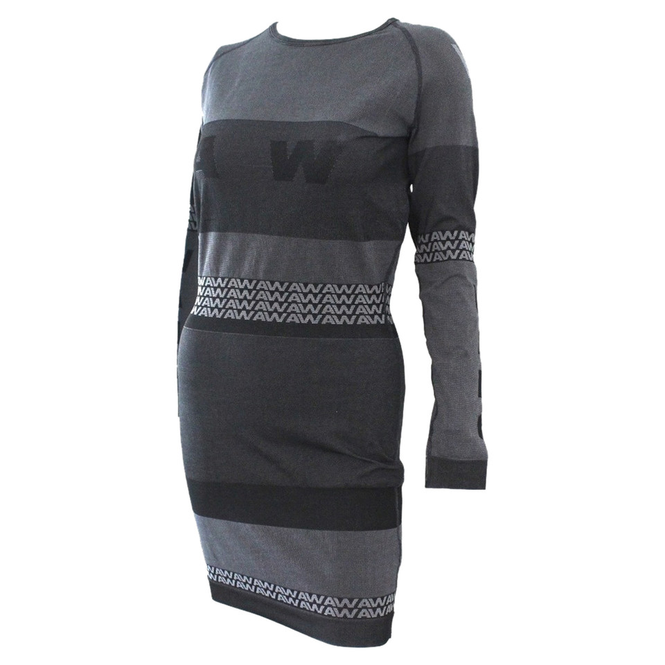 Alexander Wang Kleid in Grau