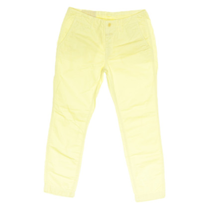Closed Trousers Cotton in Yellow