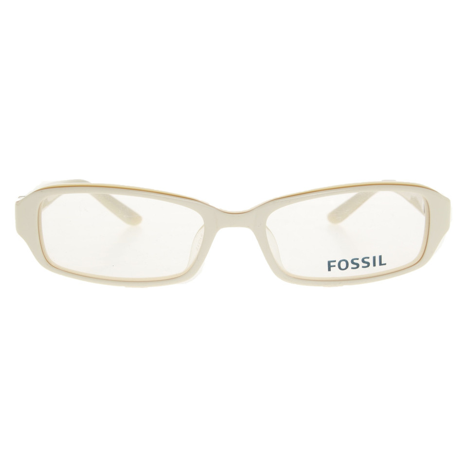 Fossil Glasses in Cream