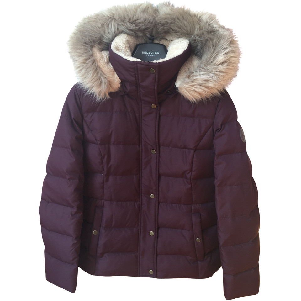 Ralph Lauren Jacke/Mantel in Bordeaux